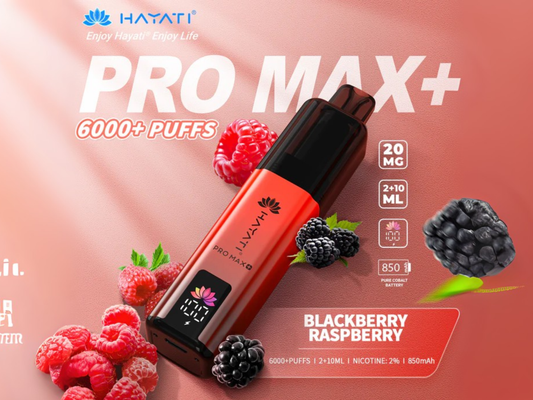 HAYATI PRO MAX + 6K PREFILLED POD (BLACKBERRY RASPBERRY)